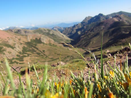 Wandern Alpin Korsika